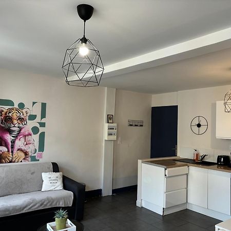 Spacieux, Climatisé, Quartier Calme, Proche Château, Le Cocon De Joy Carcassonne Exterior foto